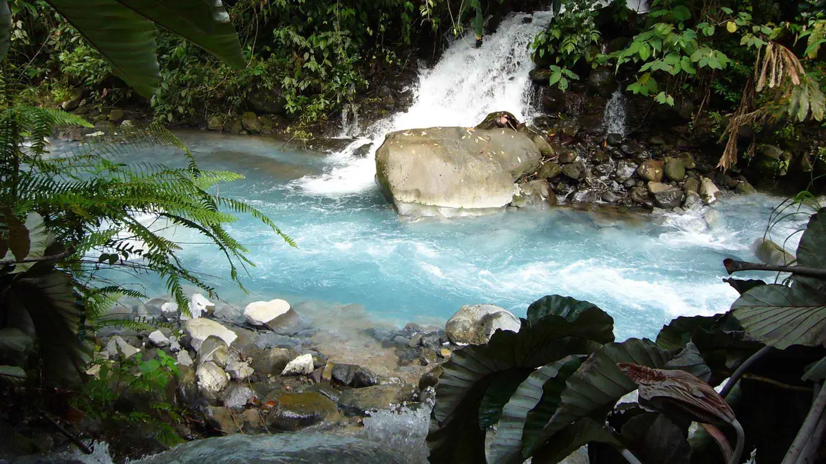 Green mineral hot spring pool surrounded by rainforest on a Blue River hot springs tour in Guanacaste, Costa Rica