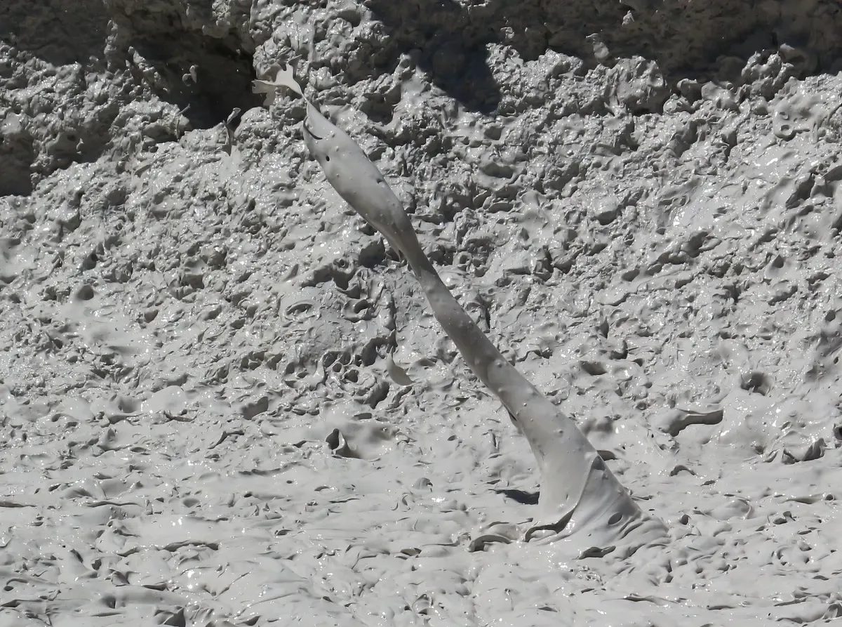 A bubbling mud pot at Rincón de la Vieja Volcano, where Costa Rica hot springs tours take their mud baths