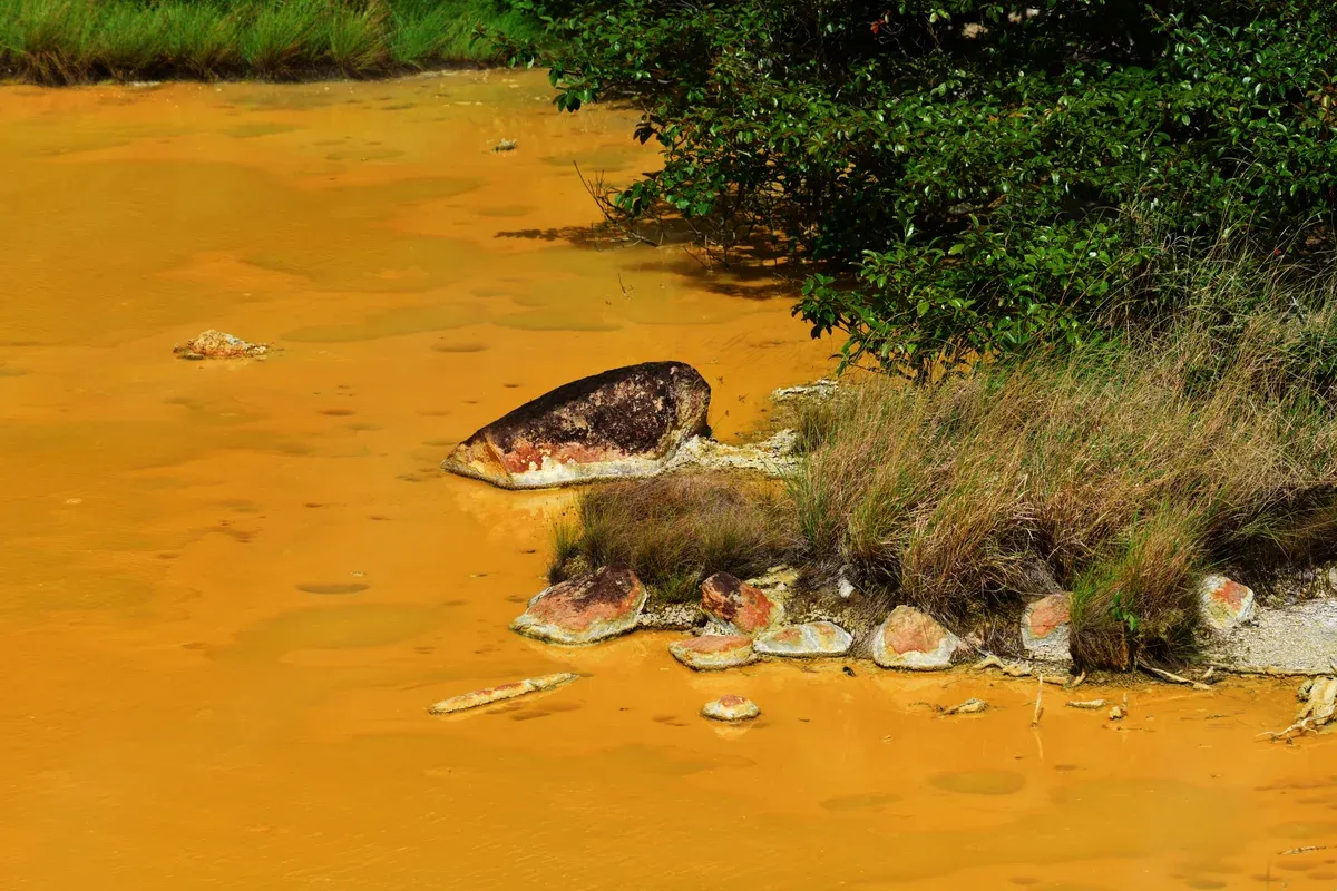Mineral-stained water beside dry forest in Rincón de la Vieja National Park, Guanacaste, on Costa Rica hot springs tours
